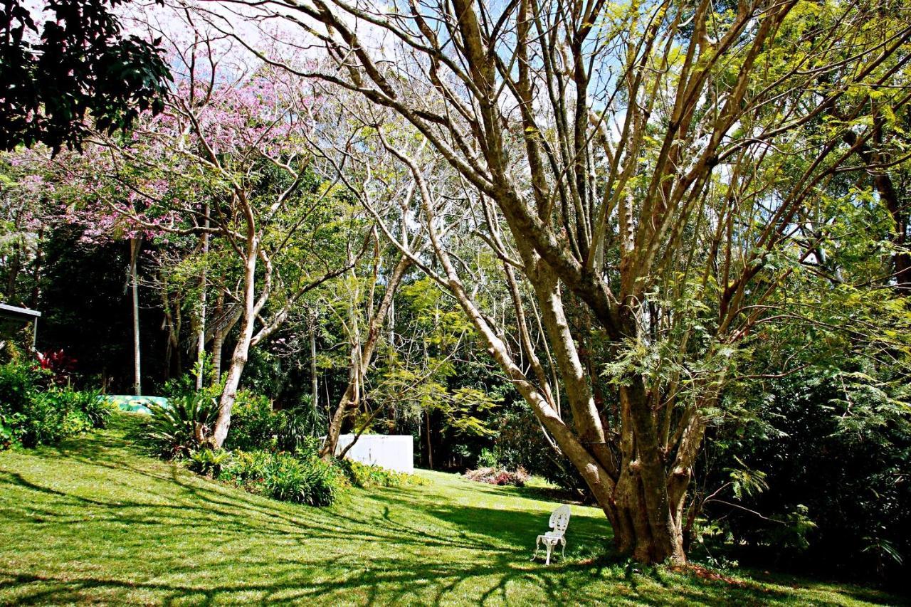 Maleny Monet Studio Екстериор снимка