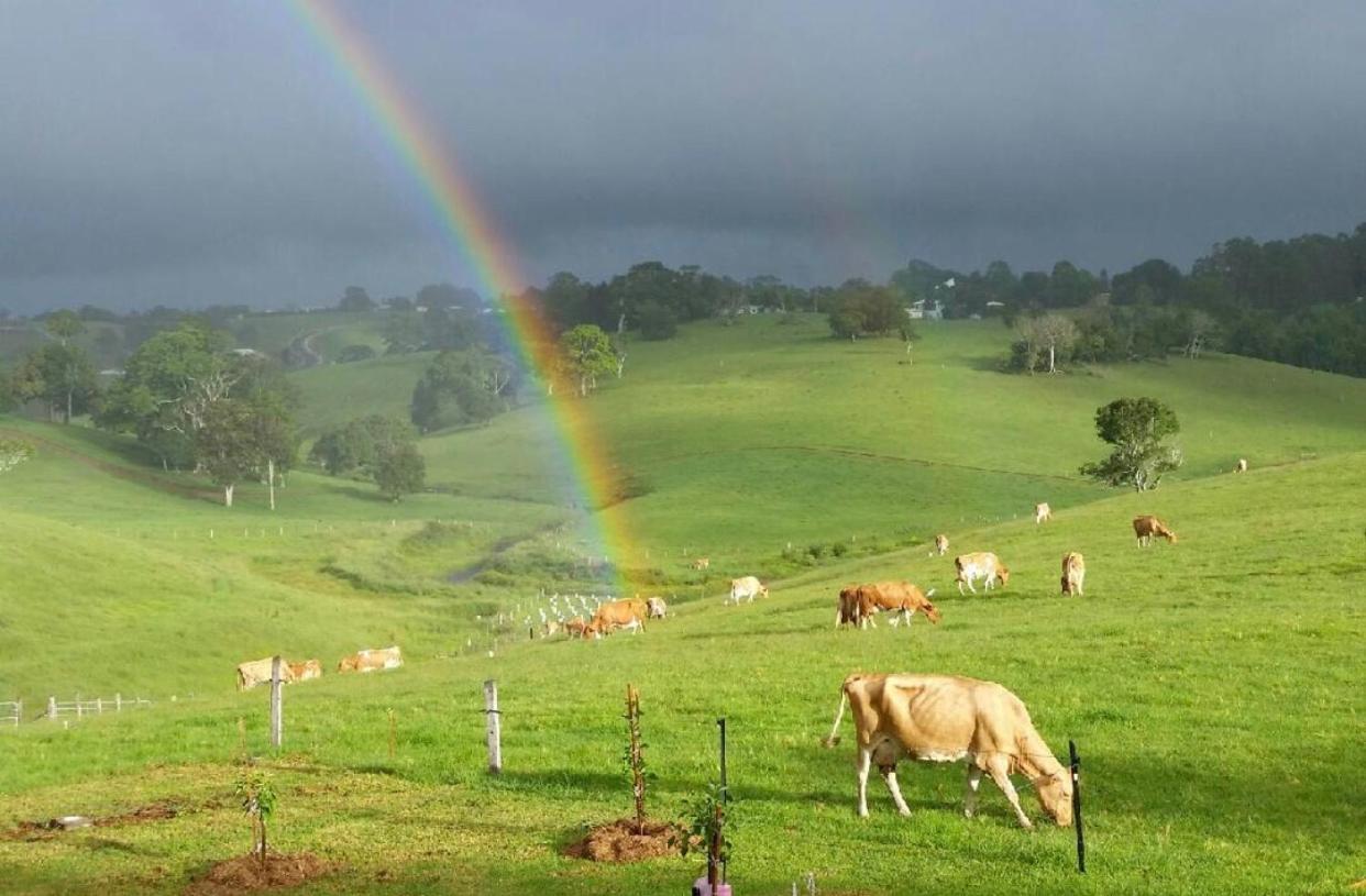 Maleny Monet Studio Екстериор снимка